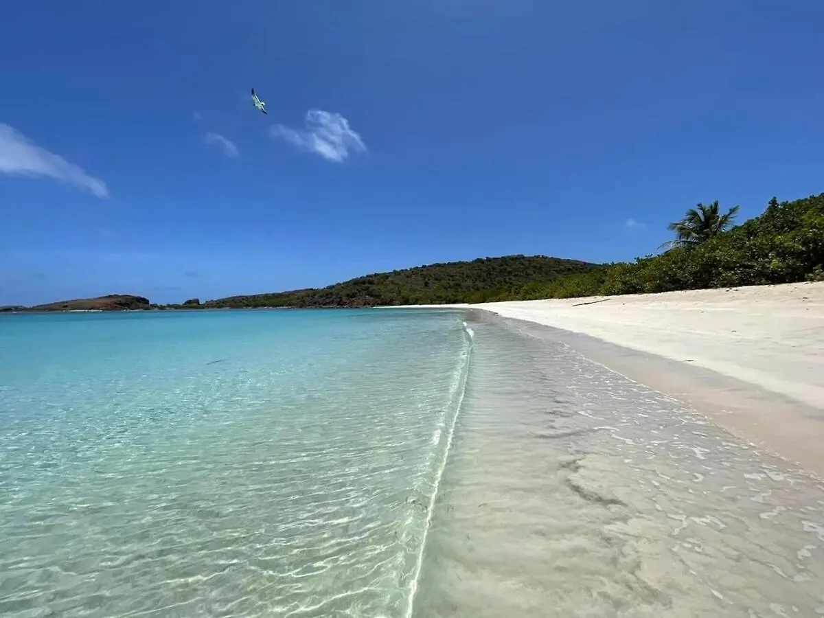 Costa Bonita Villas - Bldg 15 - Ocean View Studio - Resort Pool - Culebra, Pr Lejlighed Culebra